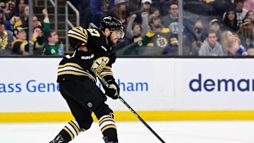 Sep 24, 2023; Boston, Massachusetts, USA; Boston Bruins defenseman Jakub Zboril (67) passes the puck during the second period against the New York Rangers at TD Garden. Mandatory Credit: Eric Canha-Imagn Images