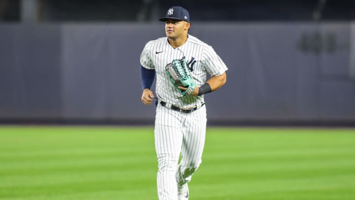 Sep 8, 2023; Bronx, New York, USA;  New York Yankees center fielder Jasson Dominguez (89) at Yankee Stadium. Mandatory Credit: Wendell Cruz-USA TODAY Sports