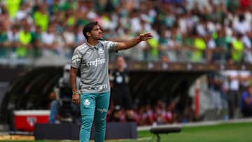 Verdão busca a liderança geral do Paulistão