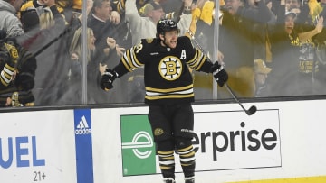 May 4, 2024; Boston, Massachusetts, USA; Boston Bruins right wing David Pastrnak (88) reacts after scoring the game winning goal during overtime in game seven of the first round of the 2024 Stanley Cup Playoffs against the Toronto Maple Leafs at TD Garden. Mandatory Credit: Bob DeChiara-USA TODAY Sports