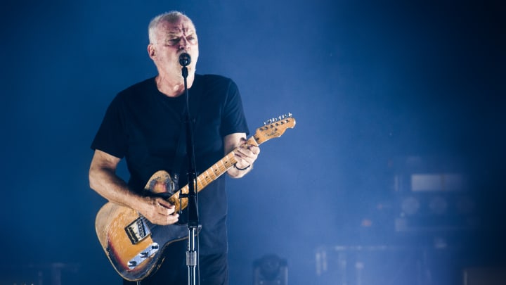 David Gilmour in concert