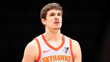 College Park Skyhawks v Long Island Nets