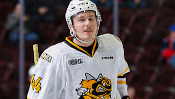 Sarnia Sting v Windsor Spitfires