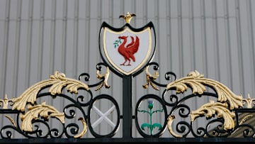 Soccer - UEFA Europa League - Liverpool vs. Benfica