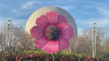 Flower and Garden festival at EPCOT. Image courtesy Brian Miller