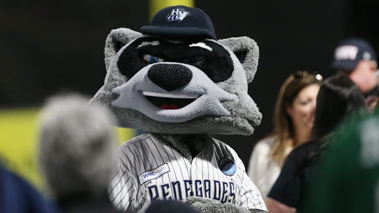 Hudson Valley Renegades mascot, Rascal, entertains guests as the team plays their home opener versus