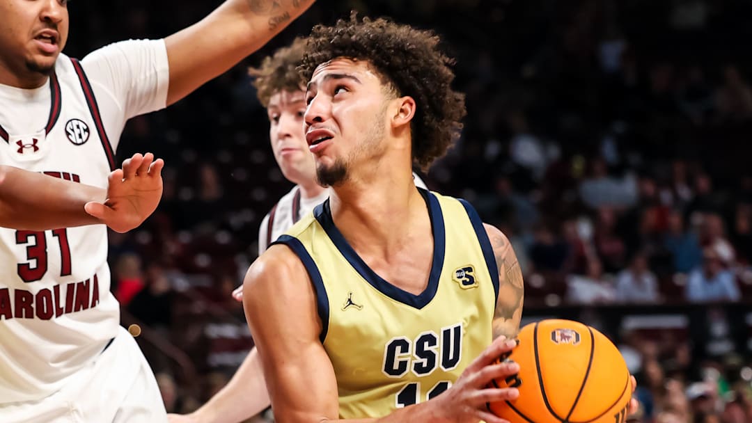 Clemson is targeting a guard in the portal