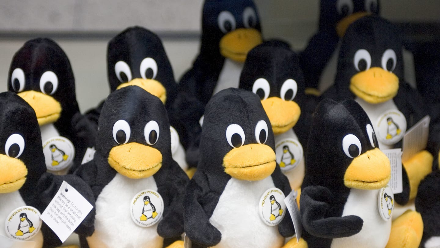 适合初学者的顶级 Linux 发行版