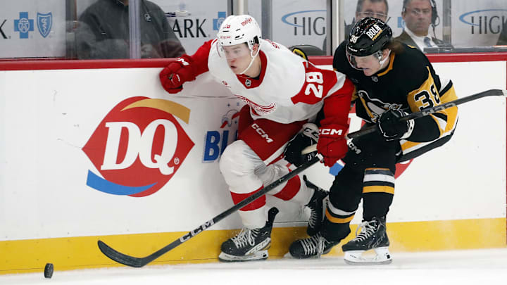 Oct 1, 2024; Pittsburgh, Pennsylvania, USA;  Detroit Red Wings right wing Michael Brandsegg-Nygård (28) chases he puck against Pittsburgh Penguins defenseman Owen Pickering (38) during the second period at PPG Paints Arena. Detroit won 2-1. Mandatory Credit: Charles LeClaire-Imagn Images