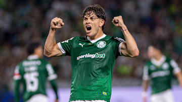 Palmeiras vive grande fase coletiva e individual na temporada