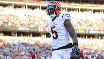 Aug 10, 2024; Cincinnati, Ohio, USA; Cincinnati Bengals wide receiver Tee Higgins (5) reacts after scoring a touchdown against the Tampa Bay Buccaneers in the first half at Paycor Stadium. Mandatory Credit: Katie Stratman-Imagn Images