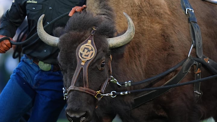 Aug 29, 2024; Boulder, Colorado, USA; Colorado Buffaloes mascot Ralphie runs onto Folsom Field before the game against the North Dakota State Bison. Mandatory Credit: Ron Chenoy-Imagn Images