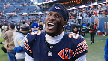 Pittsburgh Steelers v Chicago Bears