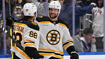 Nov 27, 2024; Elmont, New York, USA;  Boston Bruins center Pavel Zacha (18) celebrates his goal with Boston Bruins right wing David Pastrnak (88) against the New York Islanders during the third period at UBS Arena. Mandatory Credit: Dennis Schneidler-Imagn Images
