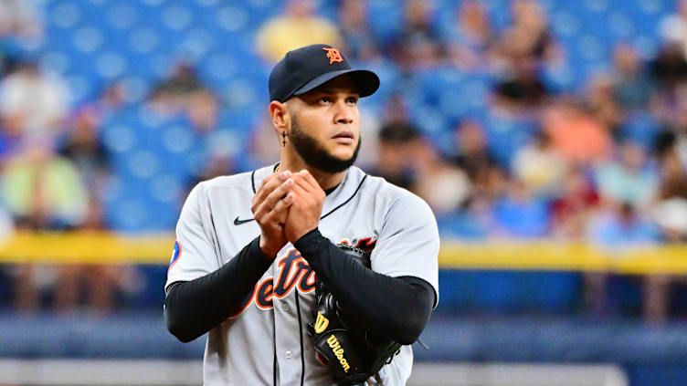 Detroit Tigers v Tampa Bay Rays