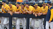 West Virginia University baseball