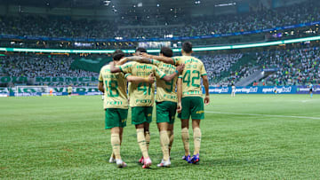 Palmeiras mira a liderança do Brasileirão