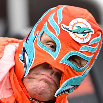 A Miami Dolphins fan reacts during the first half against the Cleveland Browns at Huntington Bank Field. 