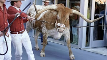 Nov 9, 2024; Austin, Texas, USA; Texas Longhorns live mascot Bevo enters the field before a game against the Florida Gators at Darrell K Royal-Texas Memorial Stadium.