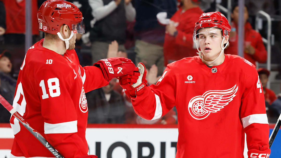 Nov 13, 2025; Detroit, Michigan, USA;  Detroit Red Wings defenseman Axel Sandin-Pellikka (44) receives congratulations from center Andrew Copp (18) after scoring in the second period against the Anaheim Ducks at Little Caesars Arena. Mandatory Credit: Rick Osentoski-Imagn Images