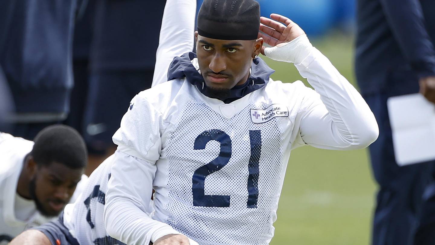The Bears Who Surprised in Offseason Practices - Vimarsana News
