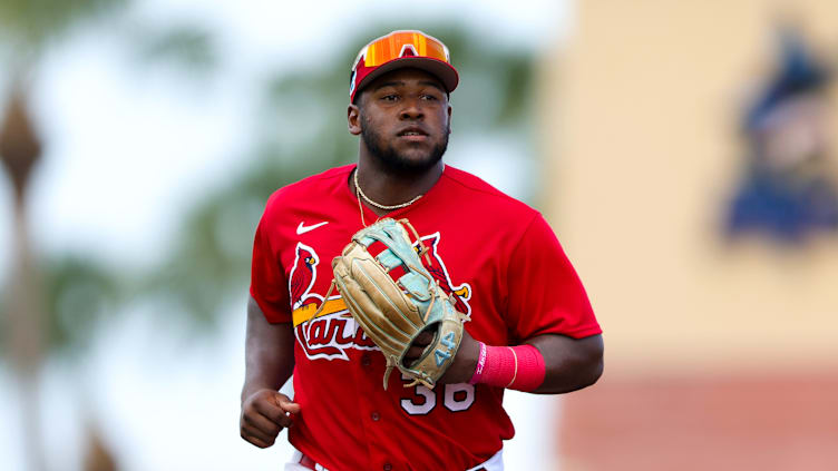 Houston Astros v St. Louis Cardinals