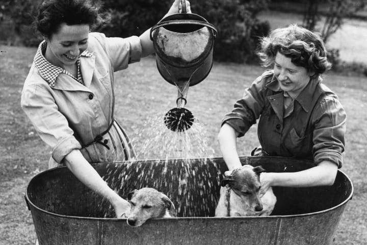 Black and white photo of women bathing dogs