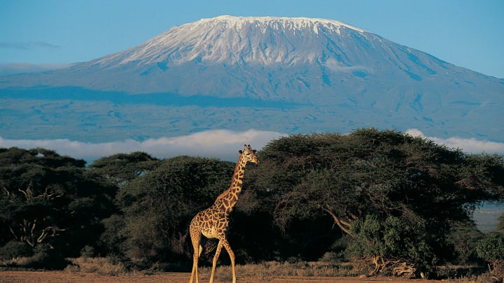 Mount Kilimanjaro