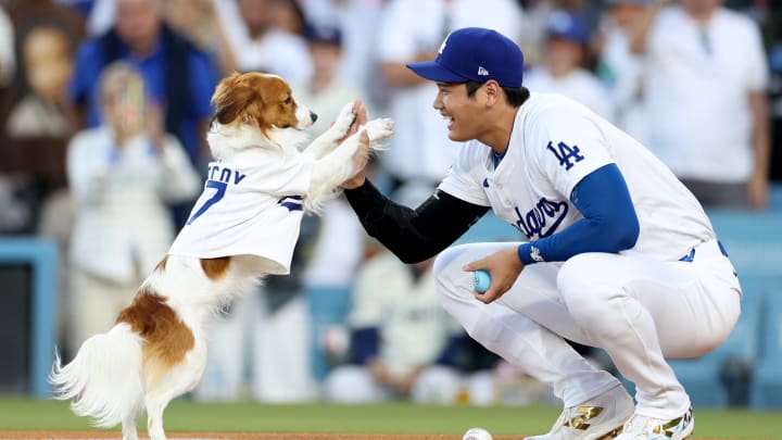 Baltimore Orioles v Los Angeles Dodgers