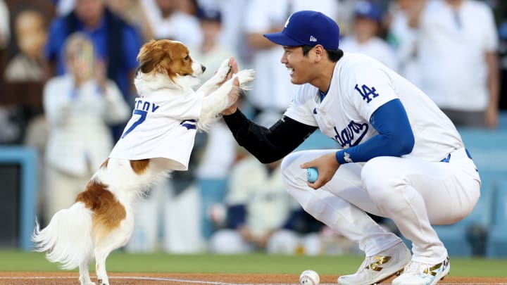 Shohei Ohtani y su perro Decoy se robaron todas las miradas en el Dodger Stadium