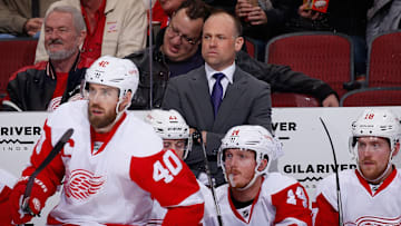 Detroit Red Wings v Arizona Coyotes