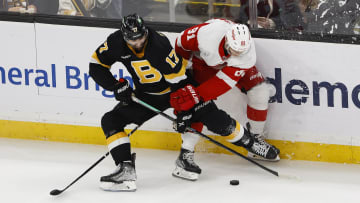 Oct 27, 2022; Boston, Massachusetts, USA; Boston Bruins left wing Nick Foligno (17) and Detroit Red Wings left wing Dominik Kubalik (81) battle for the puck during the second period at TD Garden. Mandatory Credit: Winslow Townson-USA TODAY Sports