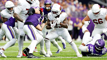 Arizona Cardinals v Minnesota Vikings