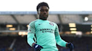 Everton v Brighton & Hove Albion - Premier League