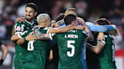 Palmeiras lidera o Campeonato Brasileiro