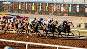 Seen is the start of the Sunland Park Derby at Sunland Park Racetrack & Casino, in Sunland Park, New Mexico, Sunday, February 18, 2024. The 19th annual Sunland Derby (Grade III) Stakes was the premiere race of the day and the $400,000 race gives the winner 20 qualifying points towards entrance into the 2024 Kentucky Derby.