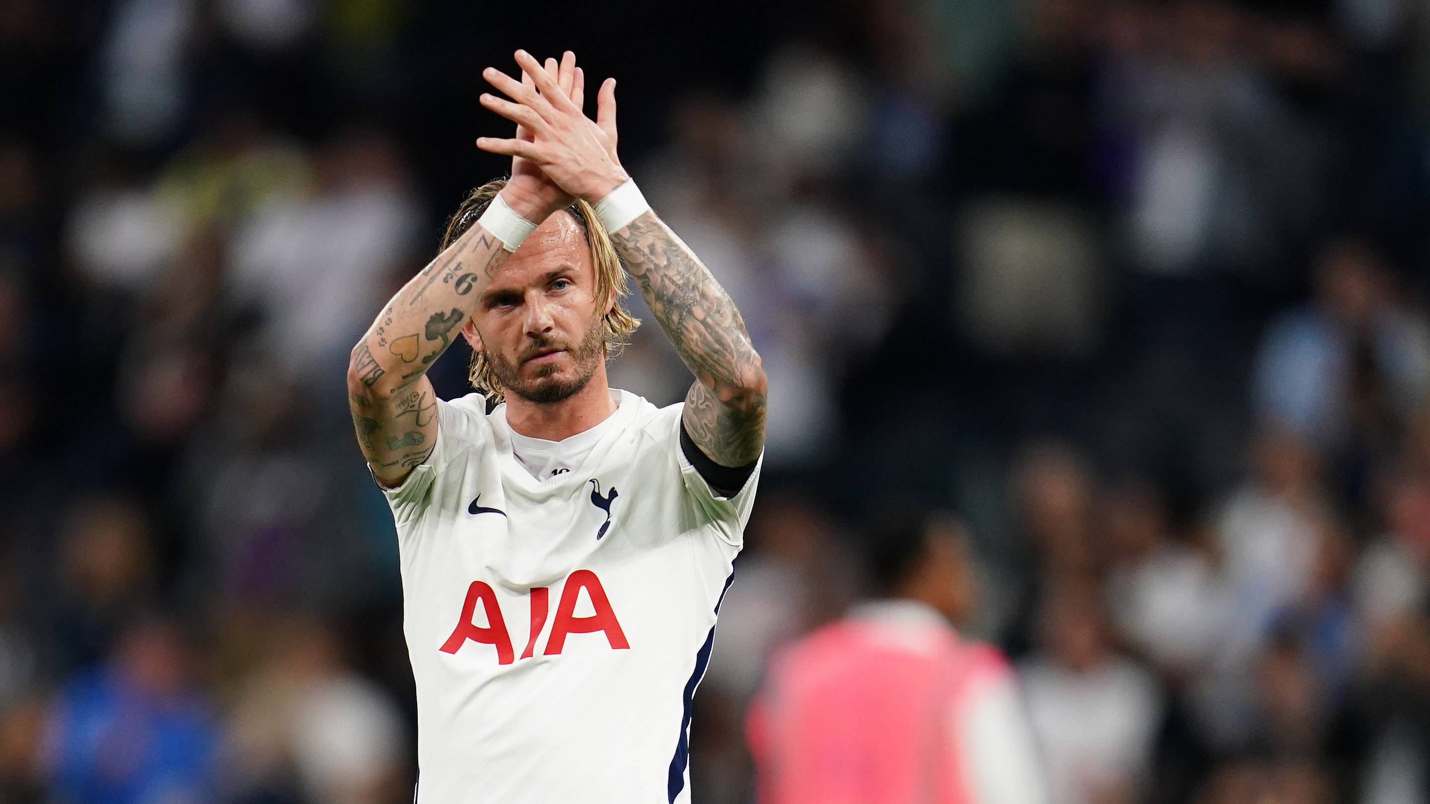 Roberto De Zerbi just said what Tottenham fans already felt about James Maddison