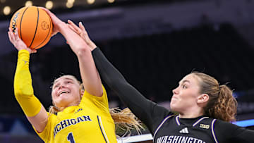 Washington v Michigan