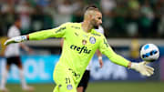 Palmeiras conquistou o Paulistão com atuação histórica no Allianz