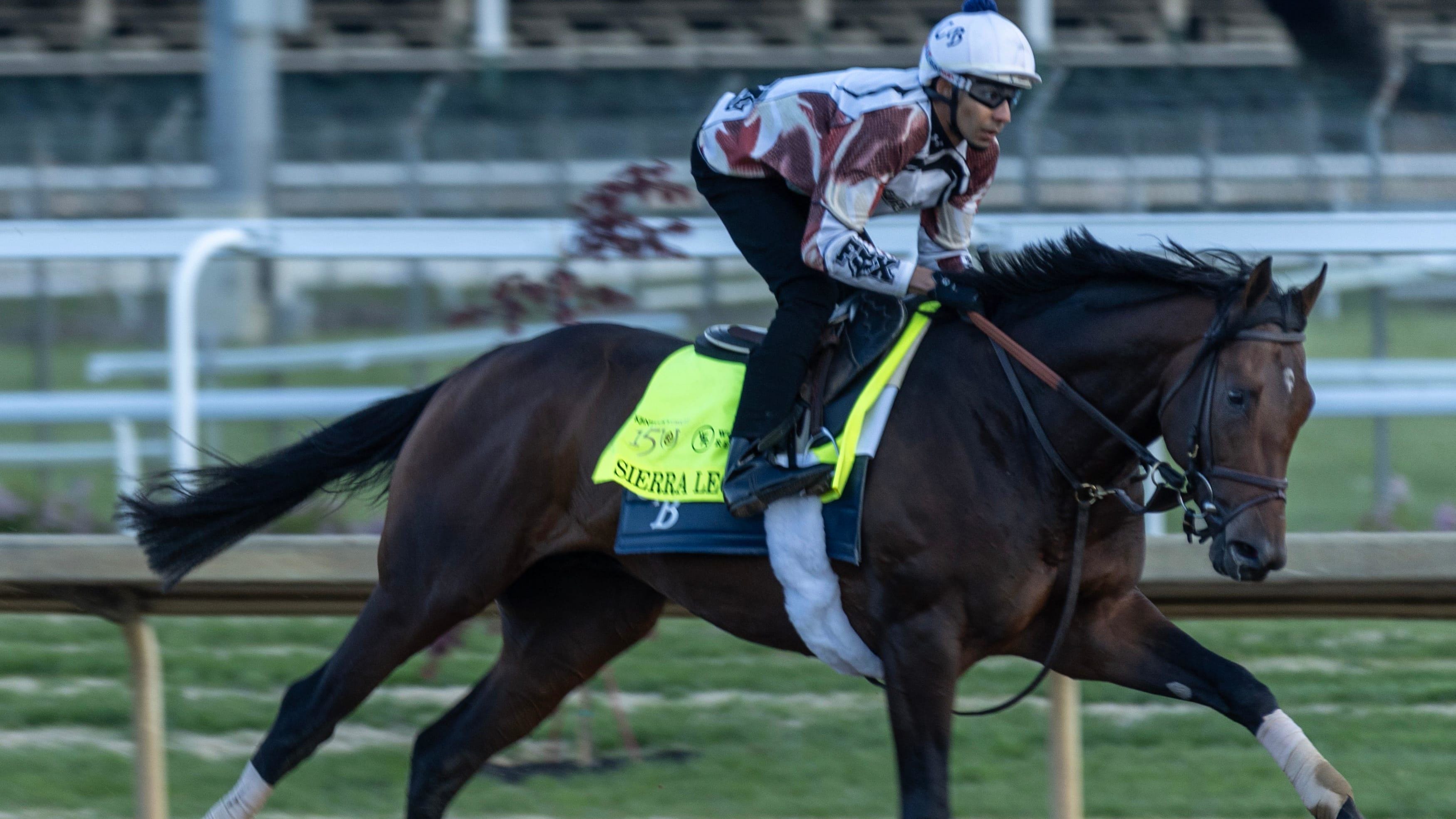 Sierra Leone gallops at Churchill Downs.