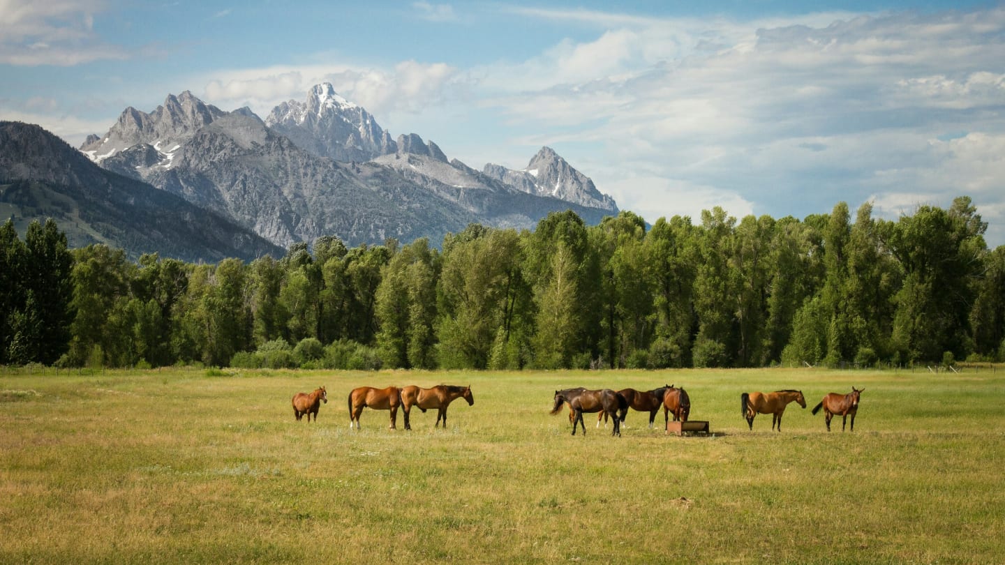 Top Dude Ranches for Hiking and Camping