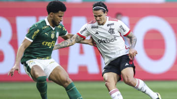 Flamengo e Palmeiras protagonizaram final da Libertadores recentemente