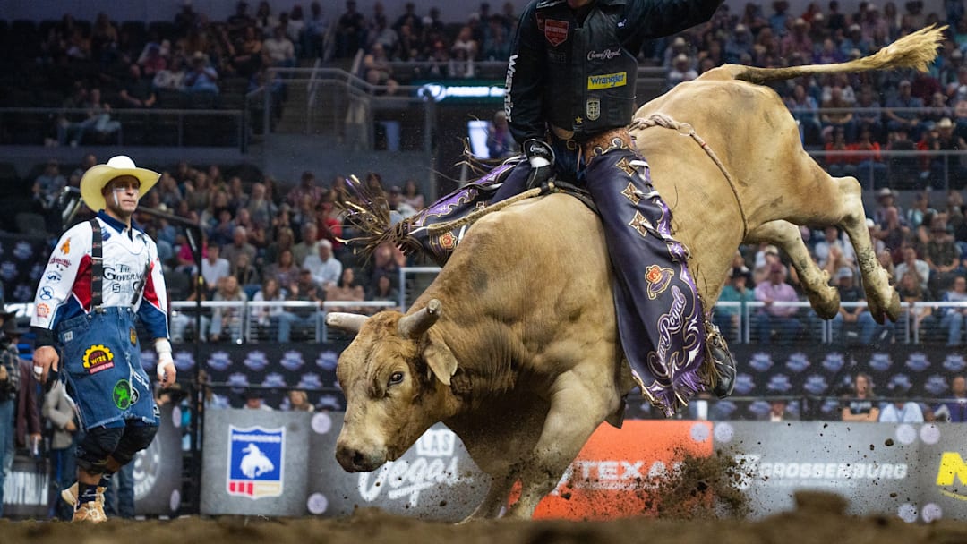 Bull riding action 