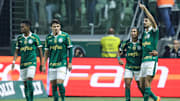 Números do Palmeiras na temporada 2024