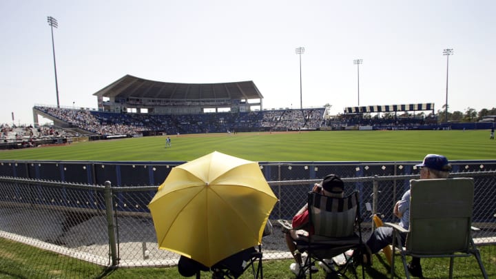 Mets Minor League 