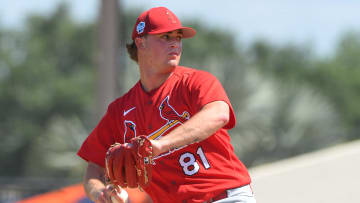 St. Louis Cardinals v Detroit Tigers