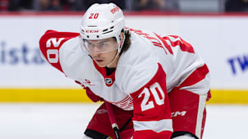 Mar 10, 2025; Ottawa, Ontario, CAN; Detroit Red Wings defenseman Albert Johansson (20) gets in position for a faceoff in the first period against the Ottawa Senators at the Canadian Tire Centre. Mandatory Credit: Marc DesRosiers-Imagn Images