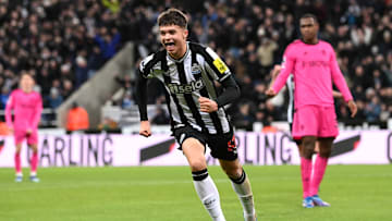 Newcastle United v Fulham FC - Premier League