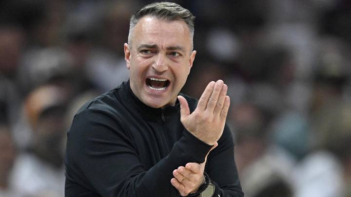 Darko Rajakovic, Toronto Raptors