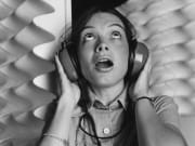 Ear Defenders